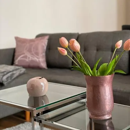 Apartamento Akk3 Altstadt Zentral Balkon Magdeburgo